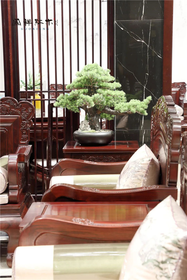 國祥紅木 國祥紅木