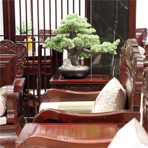 國祥紅木 國祥紅木